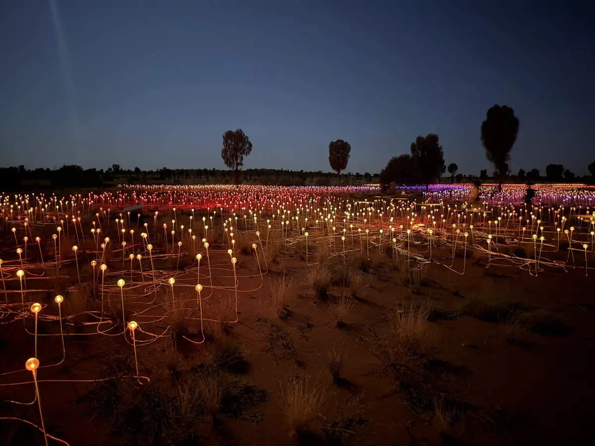 The lights of the Field of Light at dusk