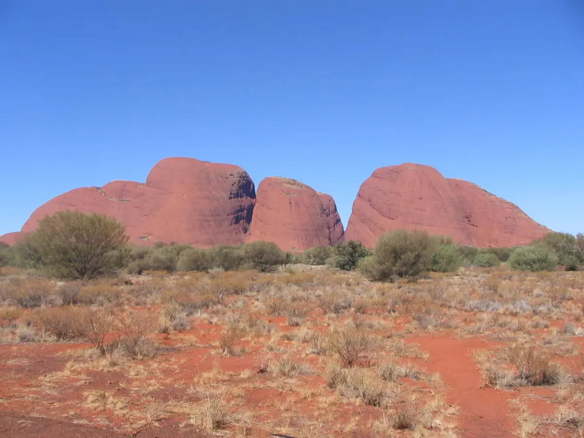 The domes of Kata Tjuta seen from the plain