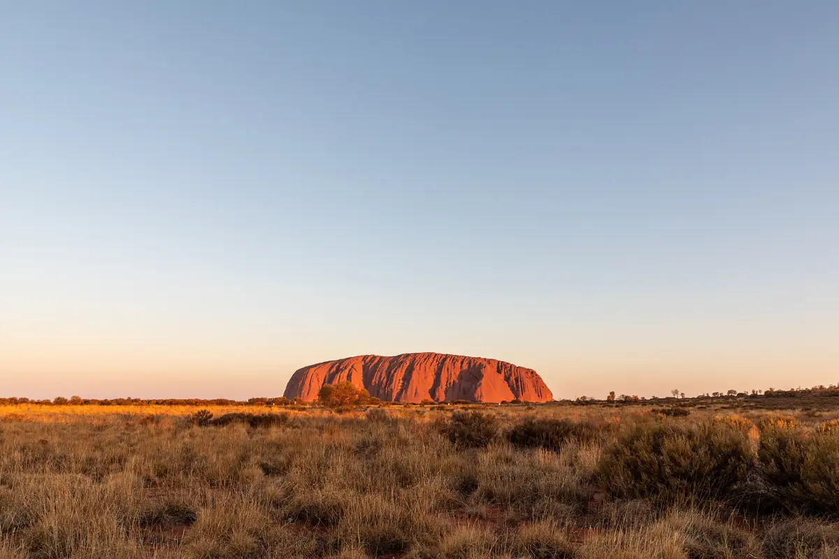 Uluru in evening light across the spinifex plain